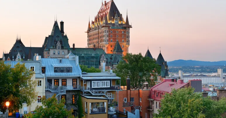 Affordable Immigration Services in Canada: Your Options 