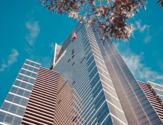 Affordable Immigration Services in Canada: Your Options 